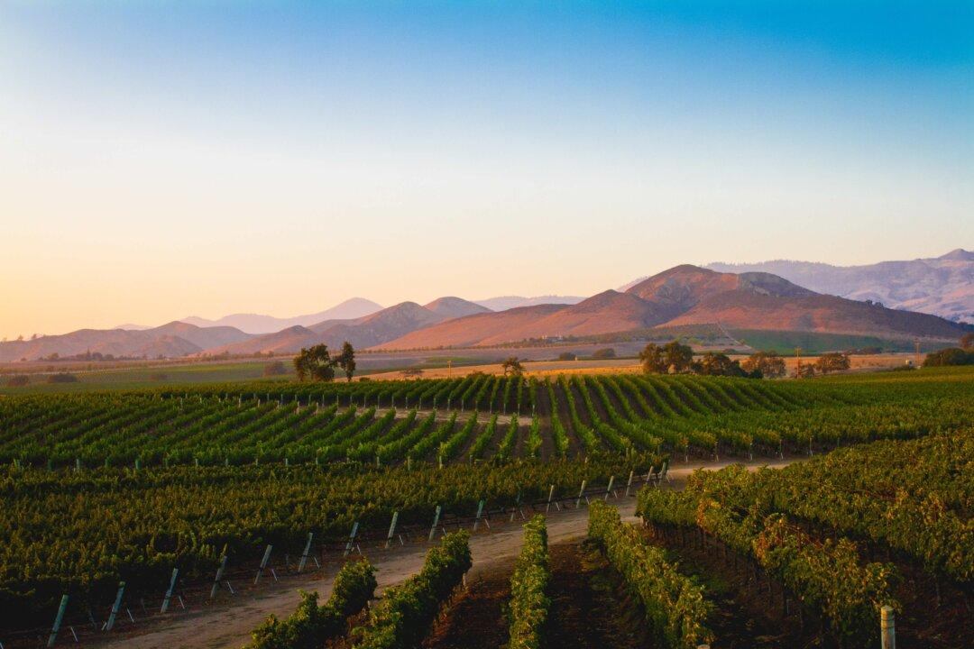 6 Best Under-the-Radar Wine Destinations
