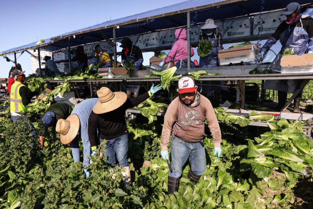 Trump Says Some Deported Farm Workers Allowed to Return Legally