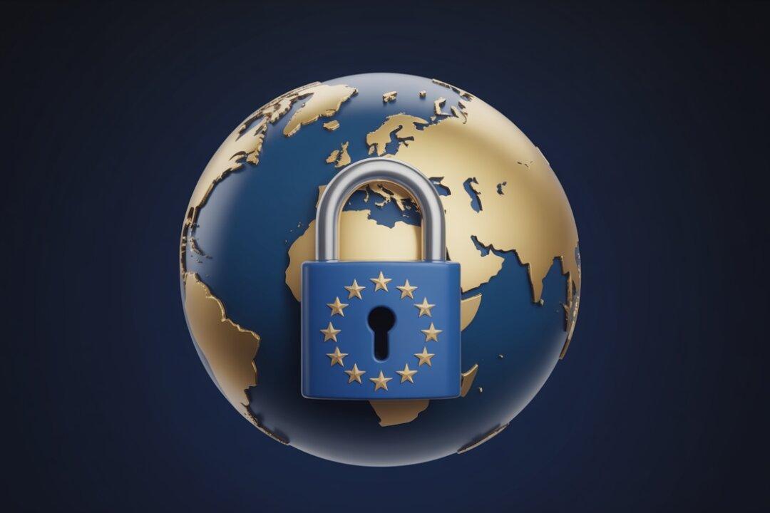 The Muscle of Brussels