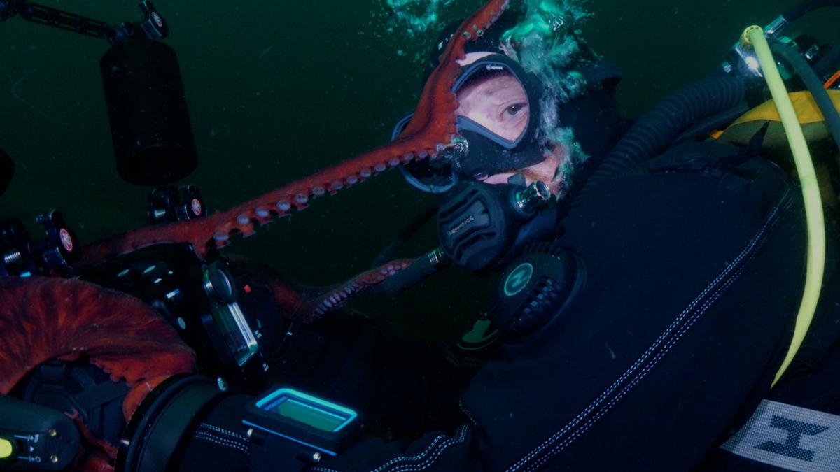Giant Pacific Octopus Shoots Video of Itself After Claiming Camera From BC Divers