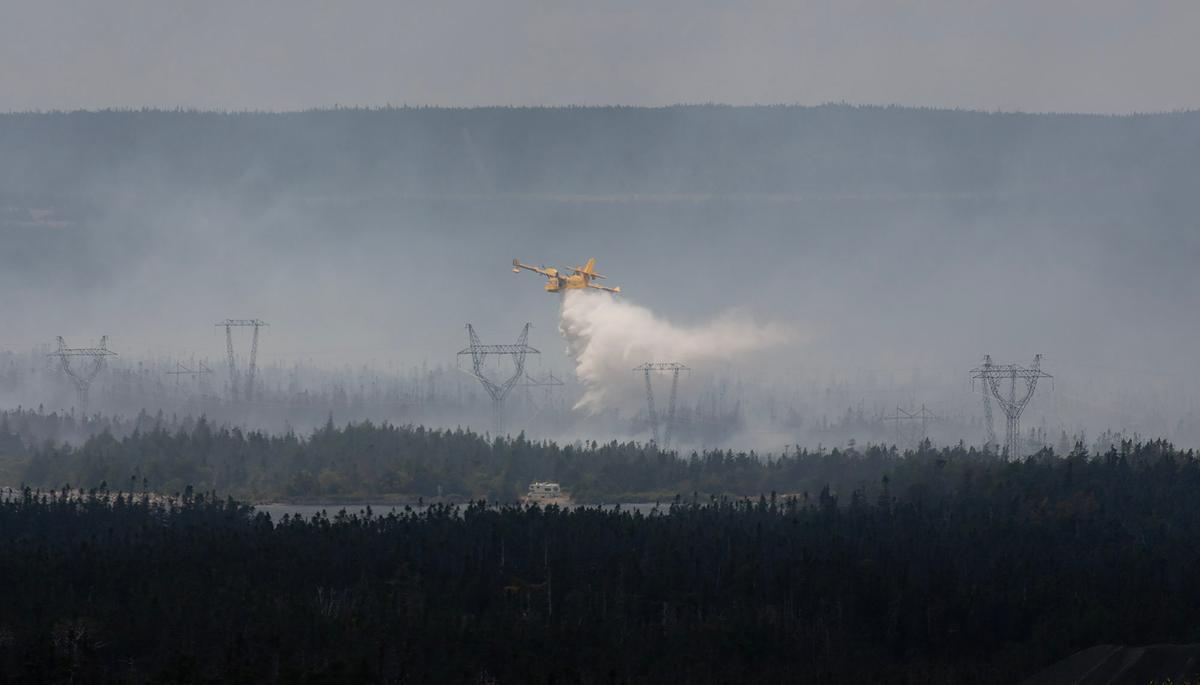 Ottawa Braces for 2026 Wildfire Season by Leasing 10 New Firefighting Aircraft