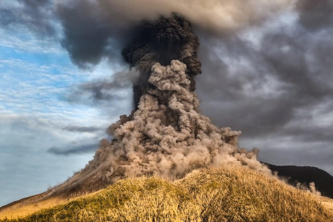 Day in Photos: Volcanic Eruption in Indonesia, Trump Meets Zelenskyy, and Pygmy Hippo