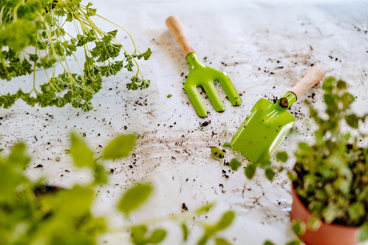 Kid-sized tools make gardening safer and more accessible for young enthusiasts. (Halfpoint Images/Getty Images)