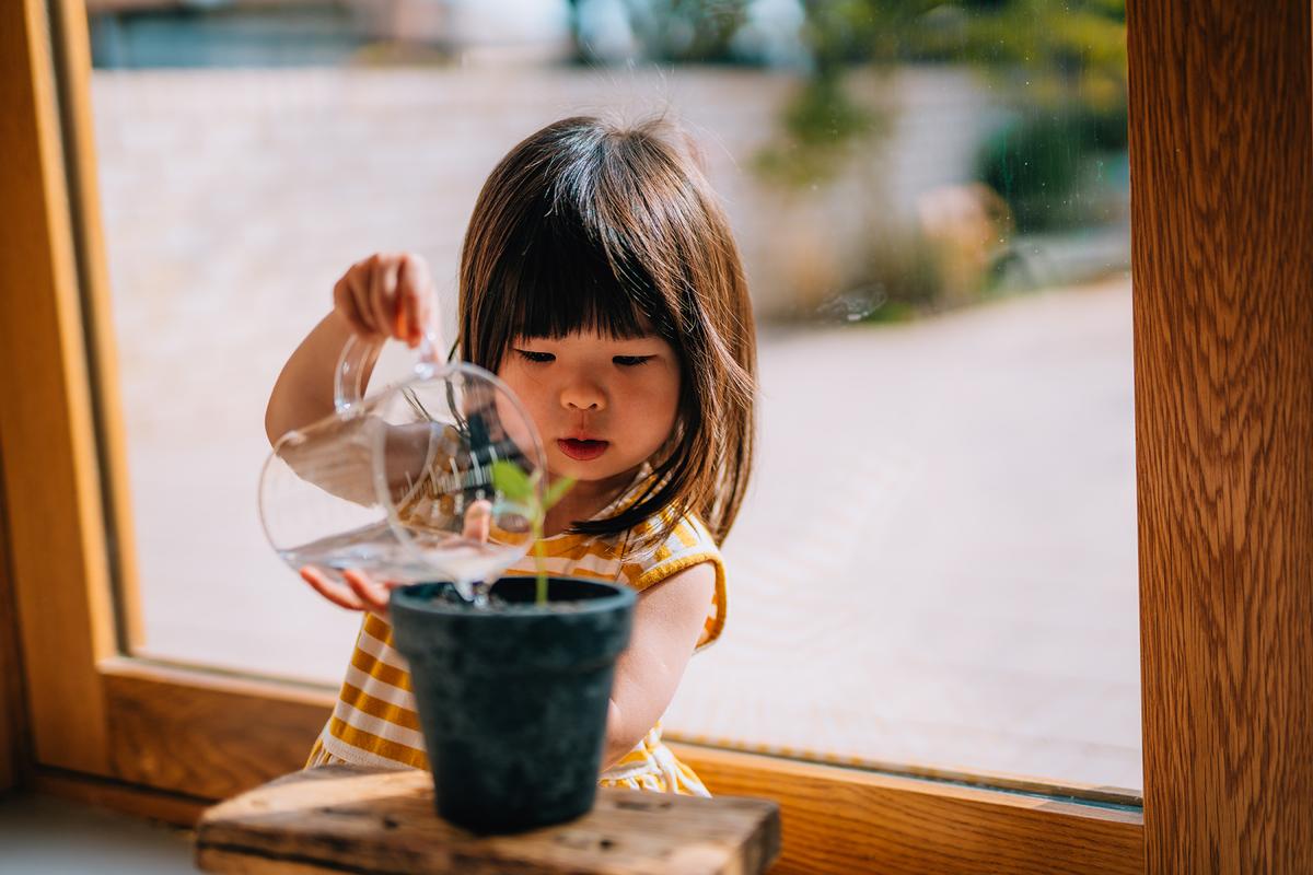 Looking after fragile seedlings gives children a sense of responsibility and care. (Oscar Wong/Getty Images)