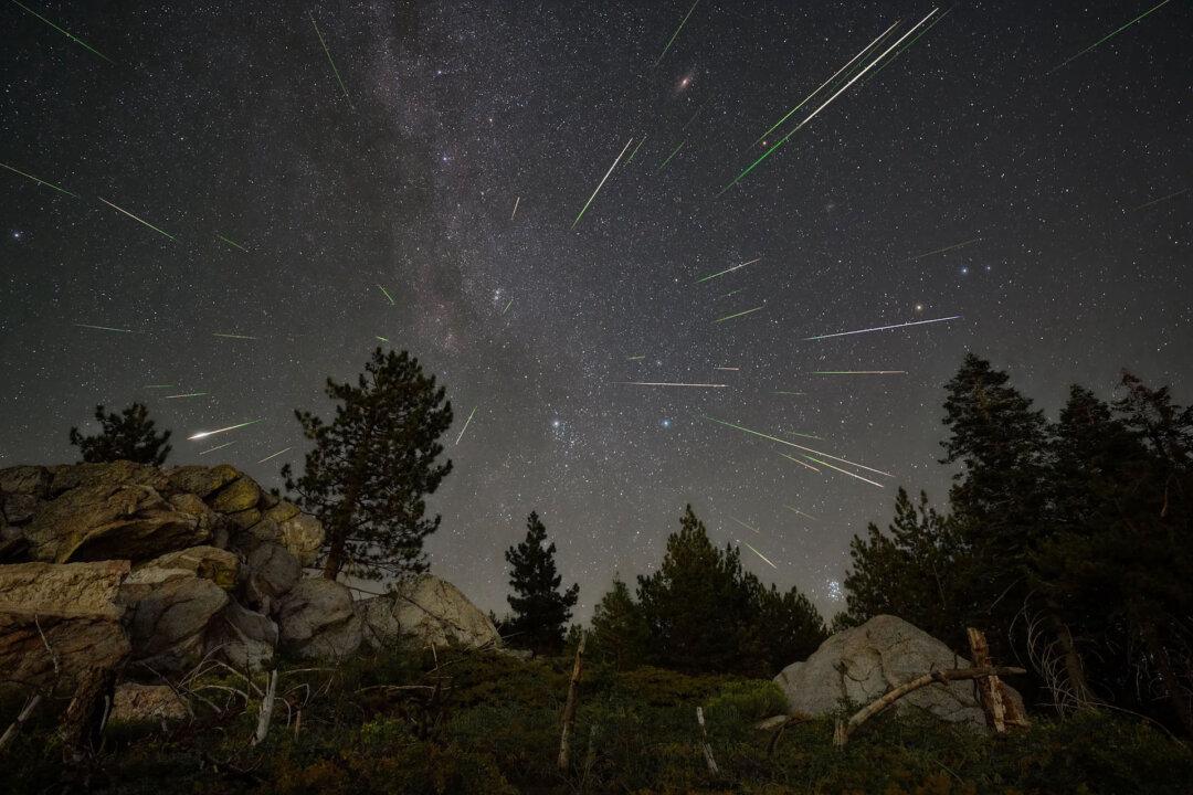 When It Comes to Watching Shooting Stars, California Is Your Best Bet, Oddsmakers Say