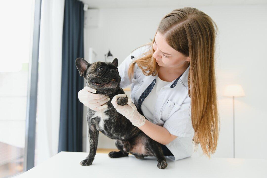 Long Fingernails Harbor Germs