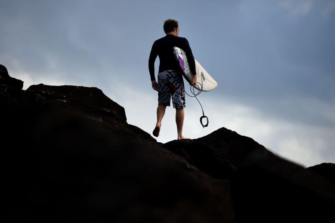 Surfer Survives Close Call With Great White Shark in Australia