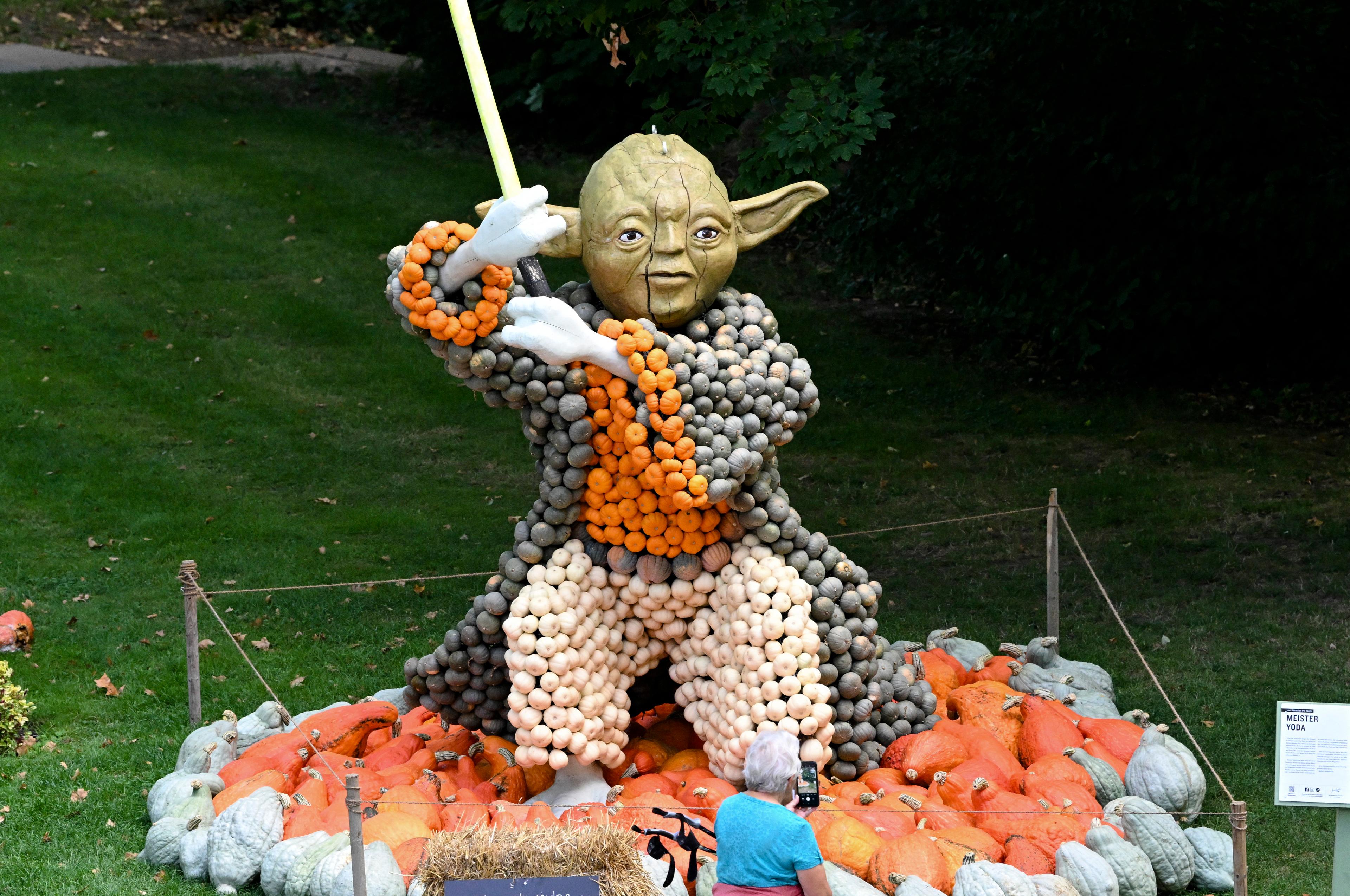 image-5904867
