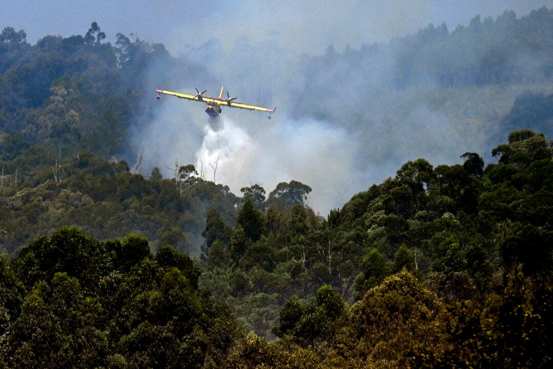 Day in Photos: Fire in Spain, Belgian Diplomatic Mission to Africa, and Big Movies Pumpkin Exhibition