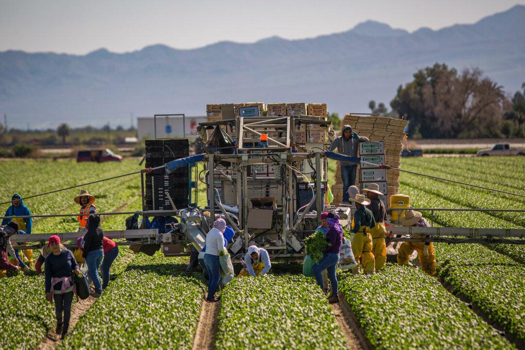 It’s Impossible to Secure the Border Without Securing Our Labor