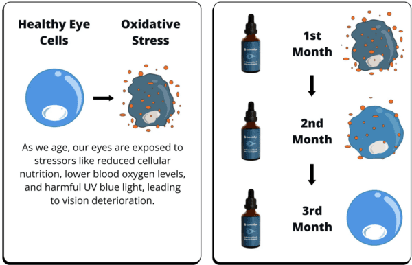 LuminEye the Ultimate Solution for Age-Related Eye Problems