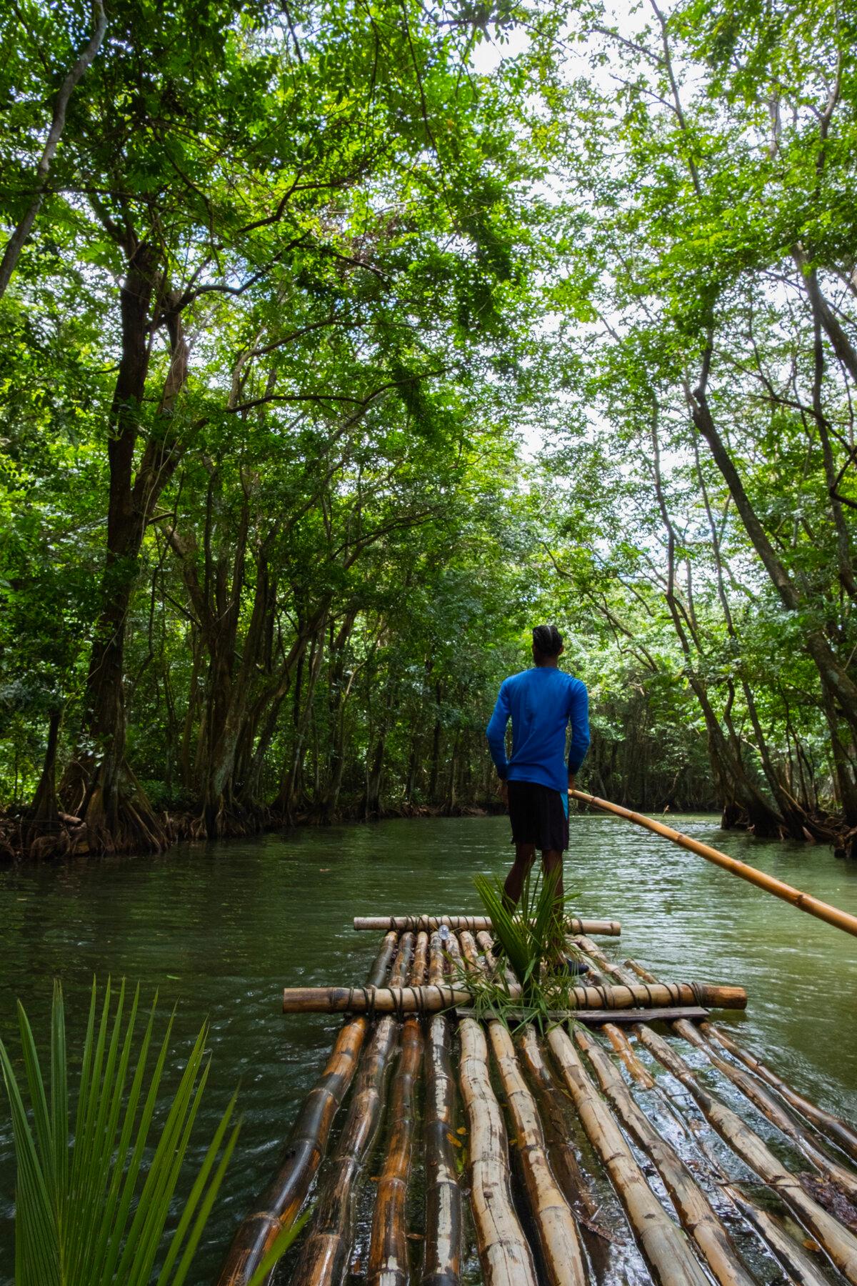 Glide under rainforest canopies during the bamboo rafting experience on the Roseau River. (Benjamin Myers/TNS)