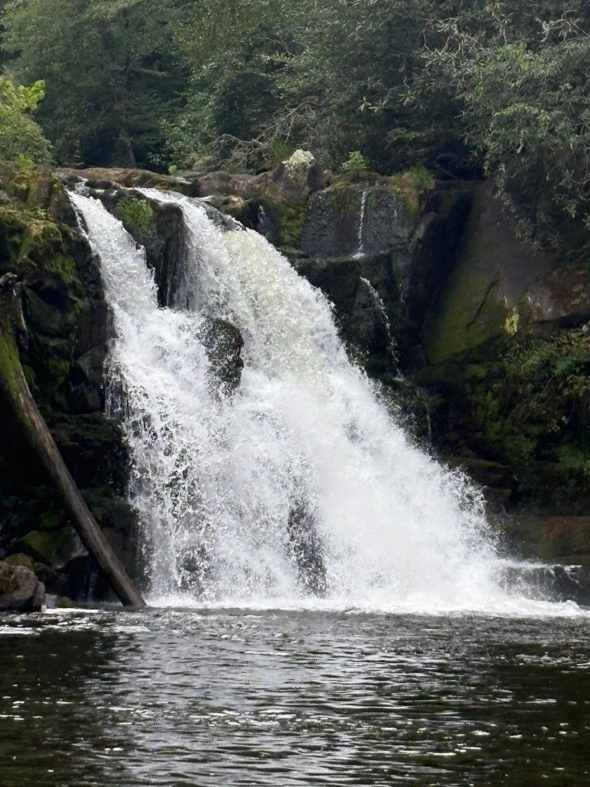 Waterfalls like Abrams Falls abound in the most popular national park in the United States. (Deena Bouknight)
