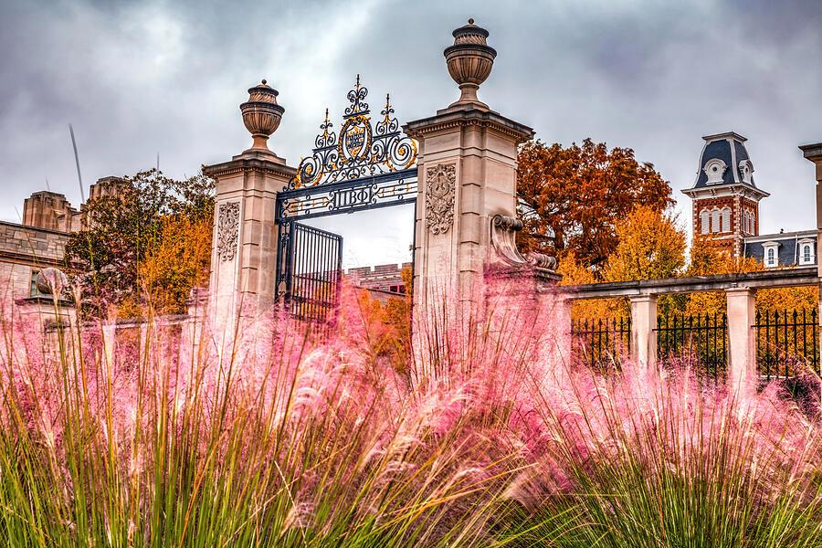University of Arkansas Centennial Gate. (<a href="https://external-content.duckduckgo.com/iu/?u=https%3A%2F%2Fimages.fineartamerica.com%2Fimages%2Fartworkimages%2Fmediumlarge%2F3%2Funiversity-of-arkansas-and-old-main-centennial-gate-in-autumn-gregory-ballos.jpg&f=1&nofb=1&ipt=697c007bfd5bdd0f2f06e53b94c64243a2b7f3d733fc7cee866facf0e6285965" target="_blank" rel="nofollow noopener">pixels</a>)
