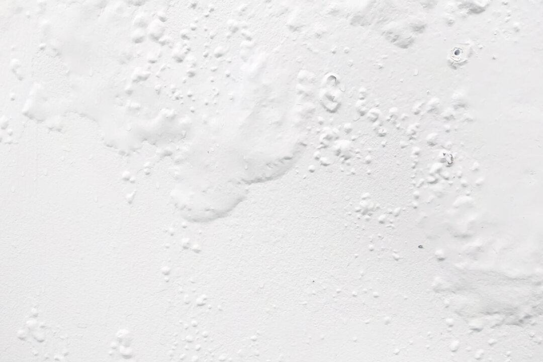 Correct Paint Blistering