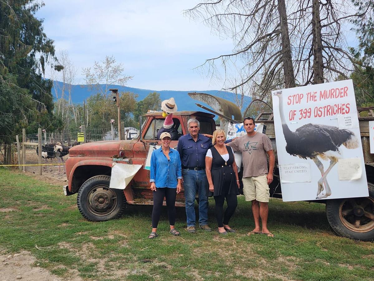 BC Ostrich Farm’s Fate Hangs in the Balance as It Weighs Next Step