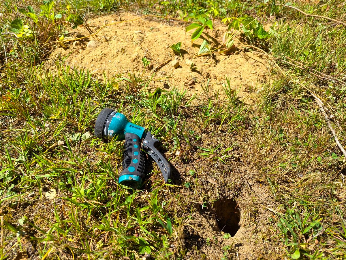 Ask the Builder: Dealing With Chipmunks, Mice, and Other Varmints