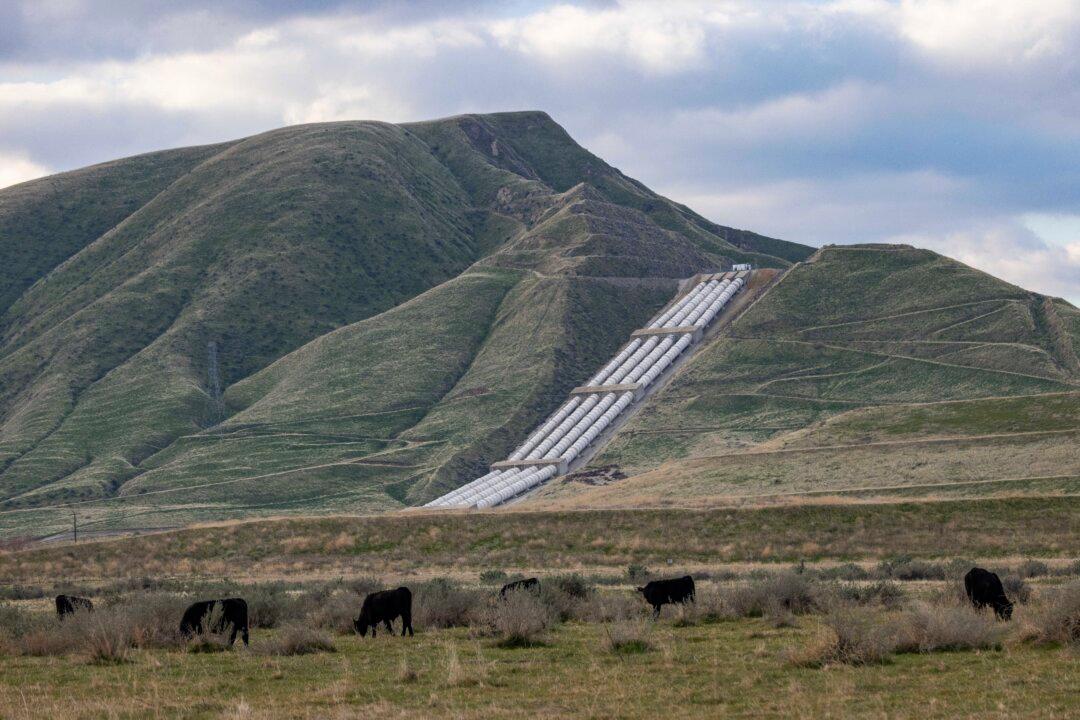 Dead Orchards, Lost Farms: California’s Water Gridlock Deepens