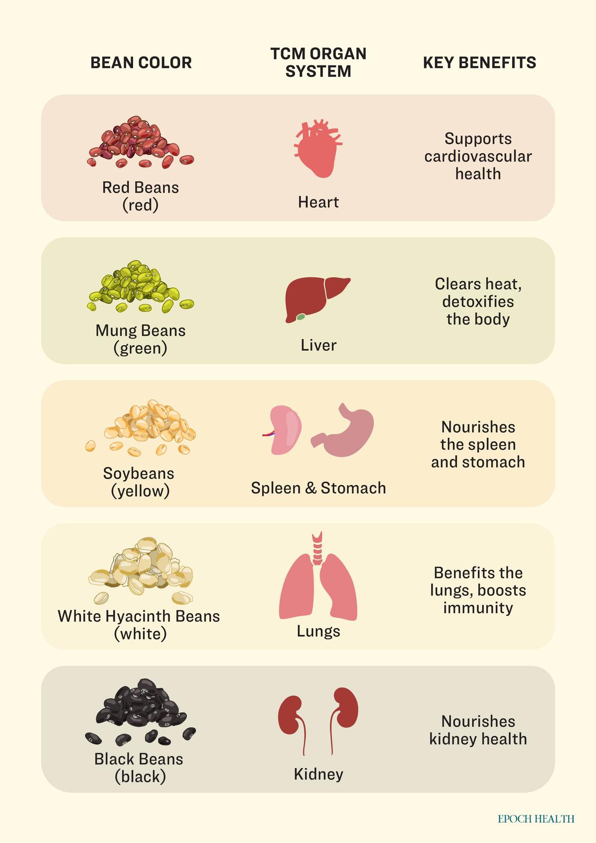 How five-colored beans support organ health. (Illustration by The Epoch Times)
