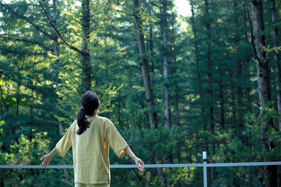 Healing in Chungju: Where Nature Meets Modern Medicine