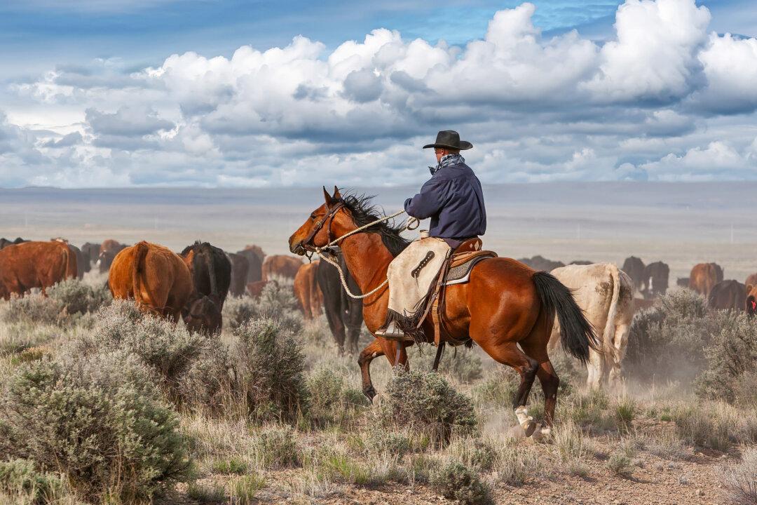The Cowboy Code: 10 Principles to Live By