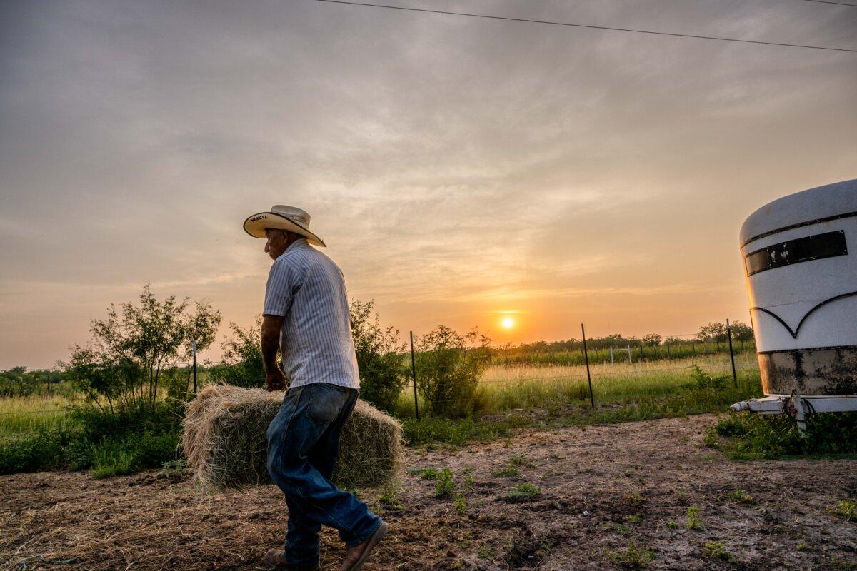A farmer prepares to feed his livestock in Quemado, Texas, on June 14, 2023. (Brandon Bell/Getty Images)