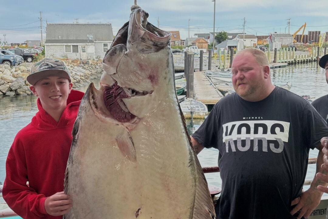 Young Man and the Sea: Teen Fishing Off New England Coast Catches Huge Halibut Bigger Than Him