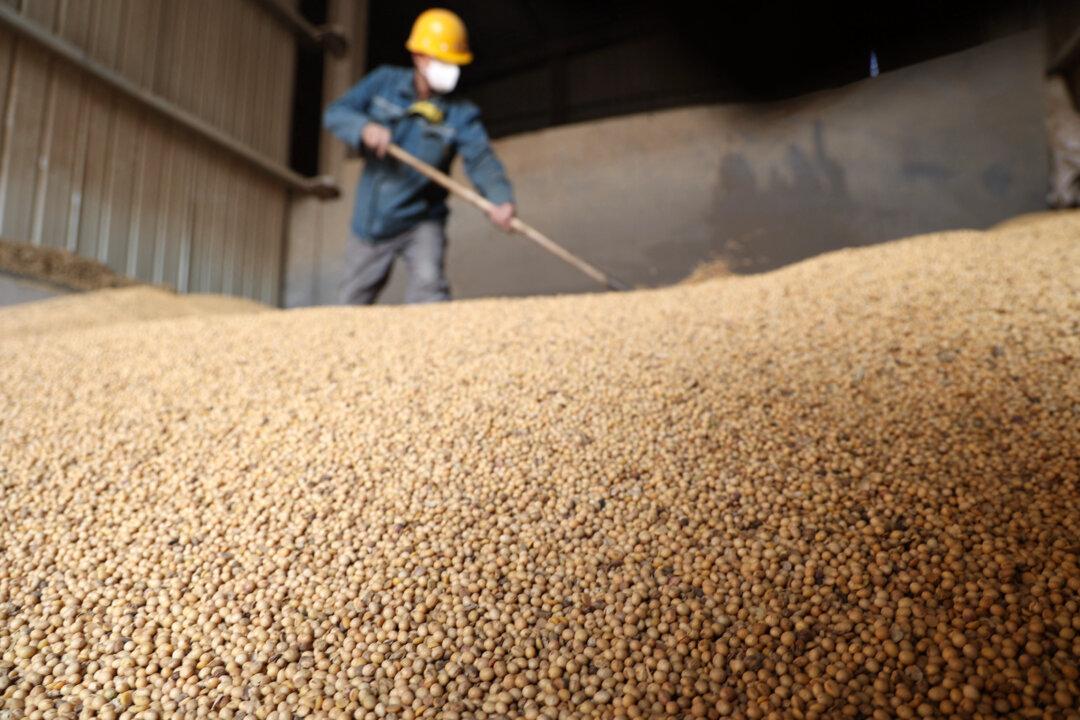 US–China Trade: Sell US Soybeans—and Get Played