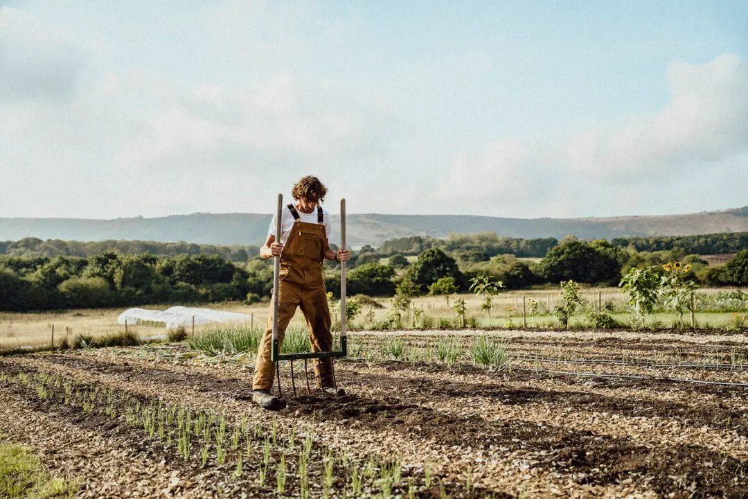 Stop Asking How to Make Regenerative Food Cheap
