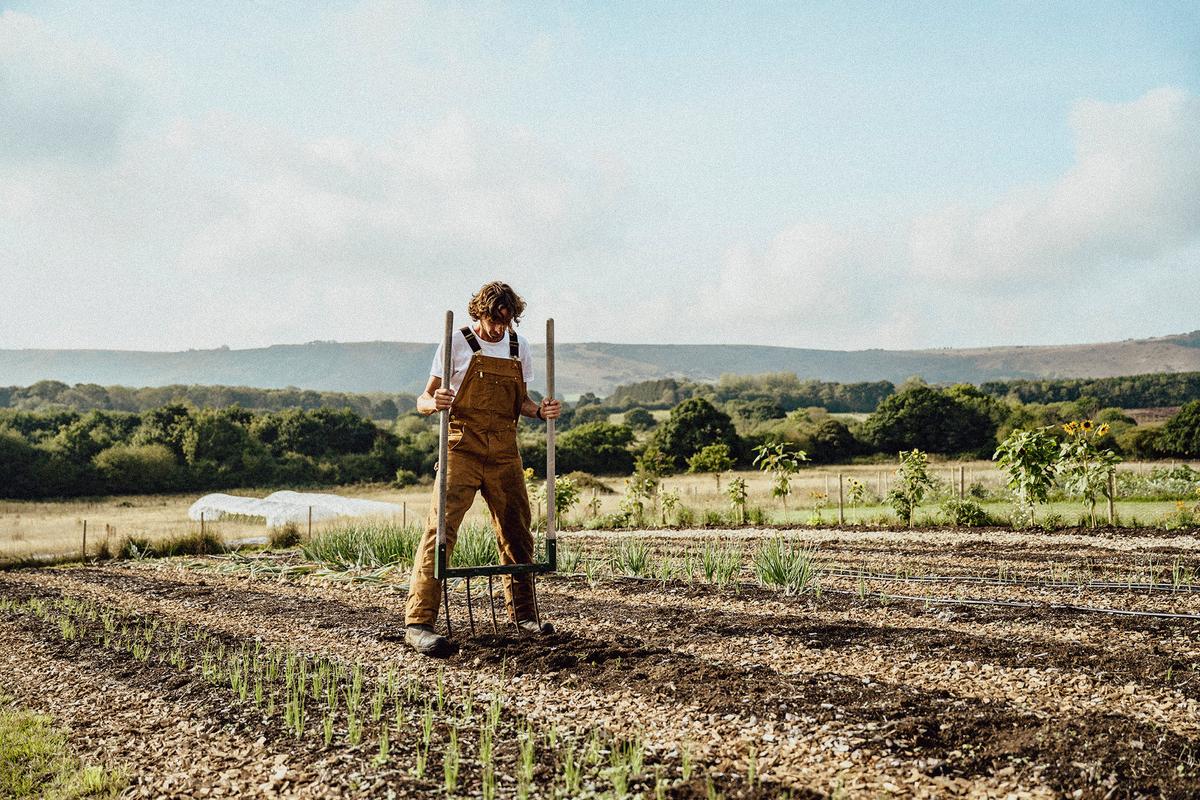 Aerating the soil helps water and oxygen penetrate deeper and reach the roots. (JohnnyGreig/Getty Images)