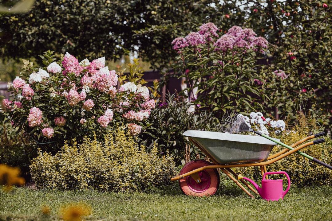 Before It Gets Too Cold: Fall Yard and Garden Prep