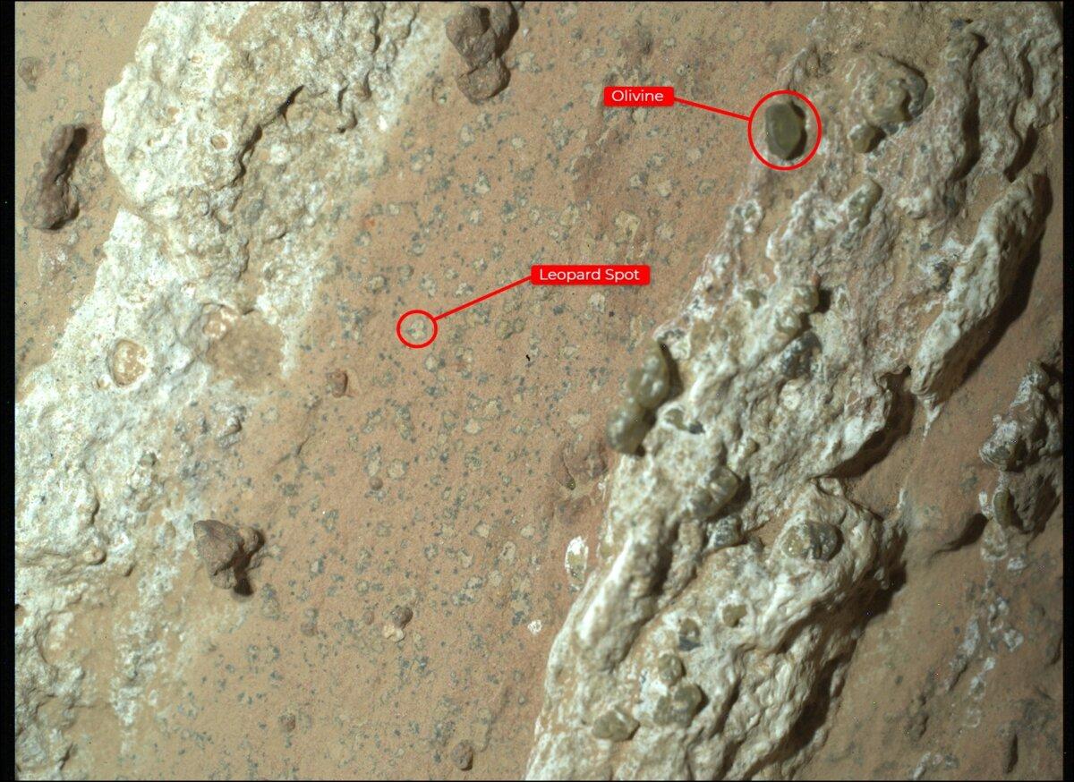 An image of “Cheyava Falls” indicates markings akin to leopard spots that have particularly captivated scientists, and olivine in the rock. The image was captured on July 18. (NASA/JPL-Caltech/MSSS).