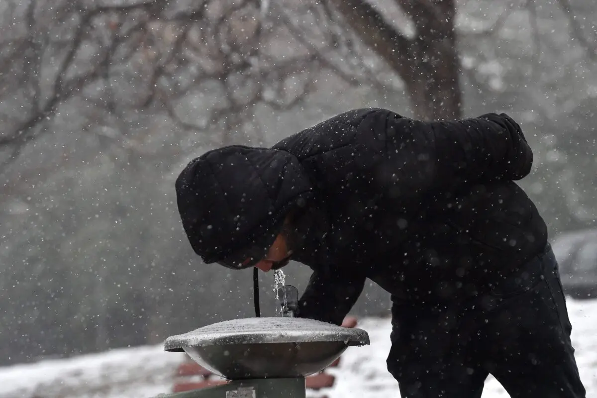 A man drinks water from a sprinkler during the first snowfall season in Blackheath, Australia, on June 10, 2021. (Saeed Khan/AFP via Getty Images)