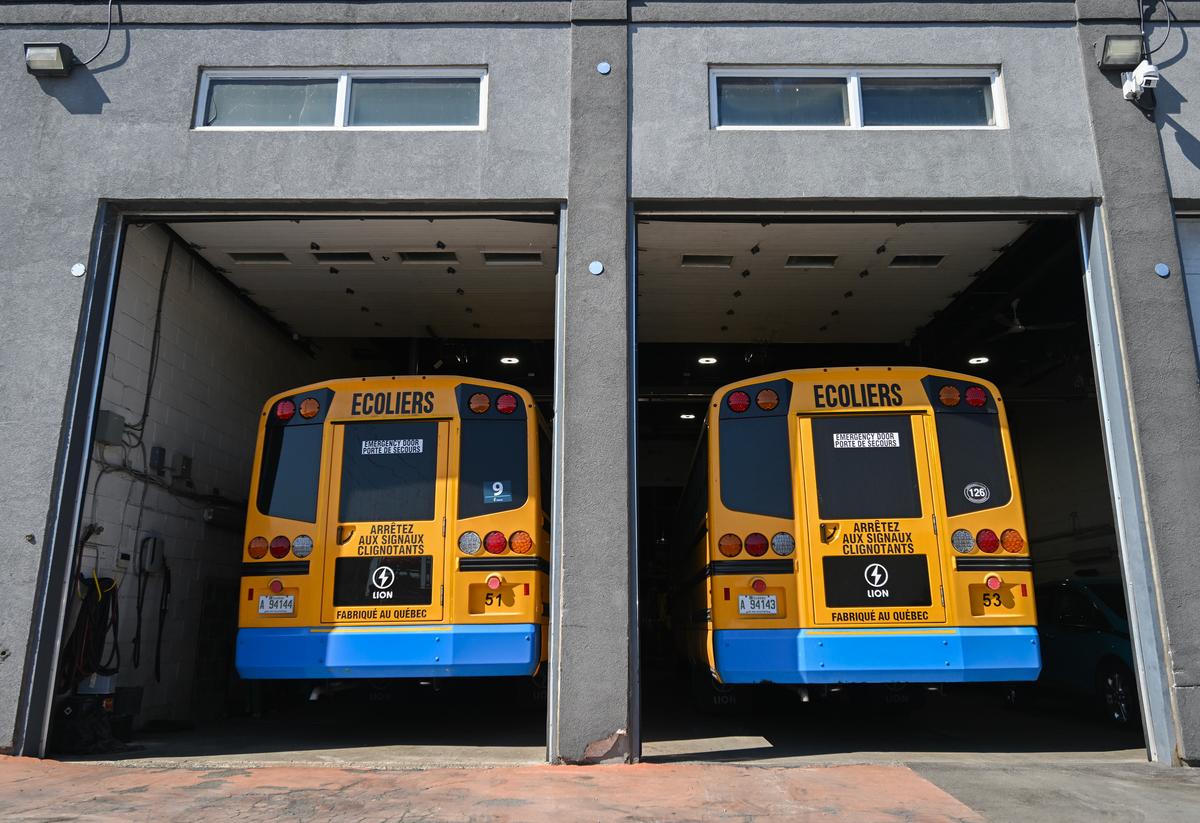 Many School Bus Routes Still Cancelled in Quebec Because of Lion Inspections