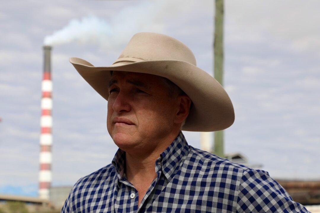 Katter MP Says It’s High Time the Government ‘Had a Crack’ at Saving Smelter