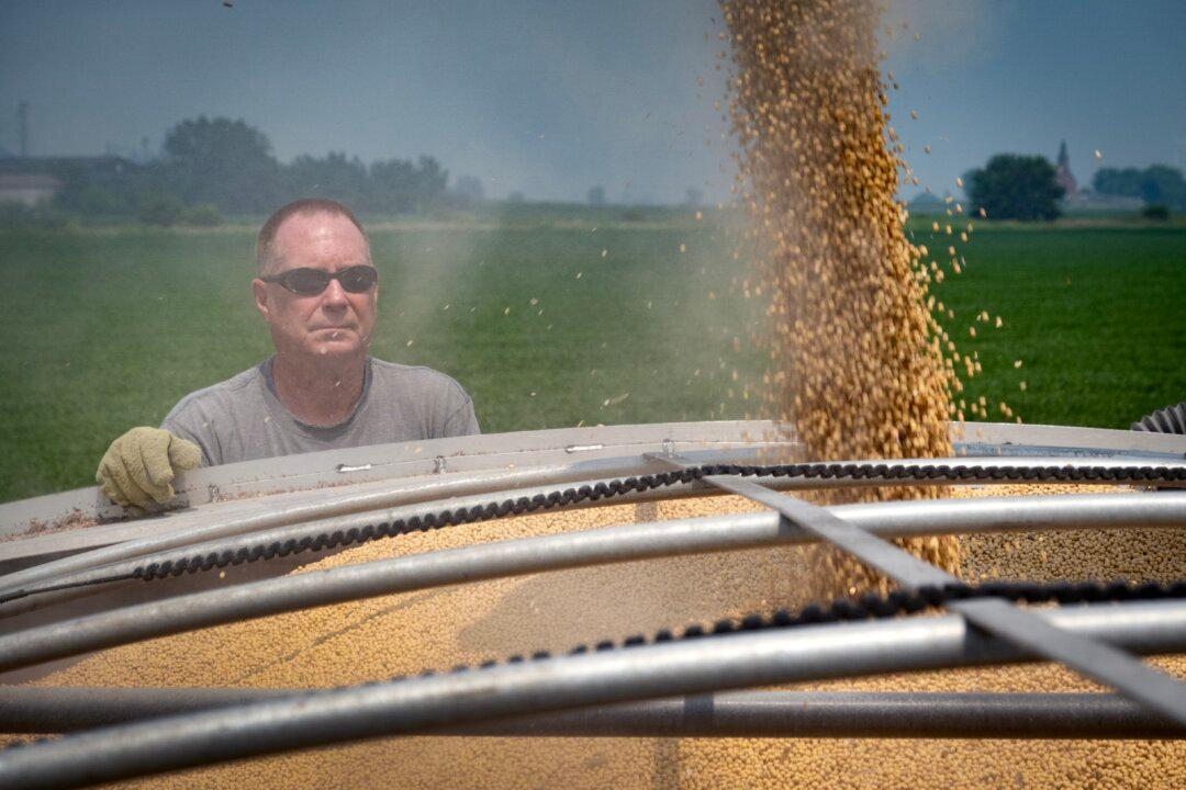How Soybeans Became America’s Weak Spot