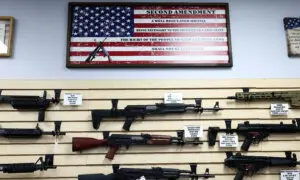 Are Guns Becoming a Pacifier for a Controlled Population?