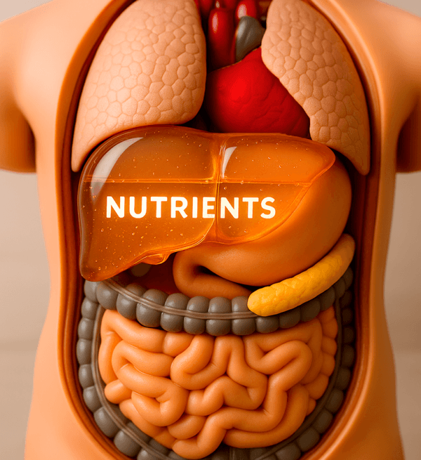 Cloud9 Daily Restore is the first complete liver protection system.