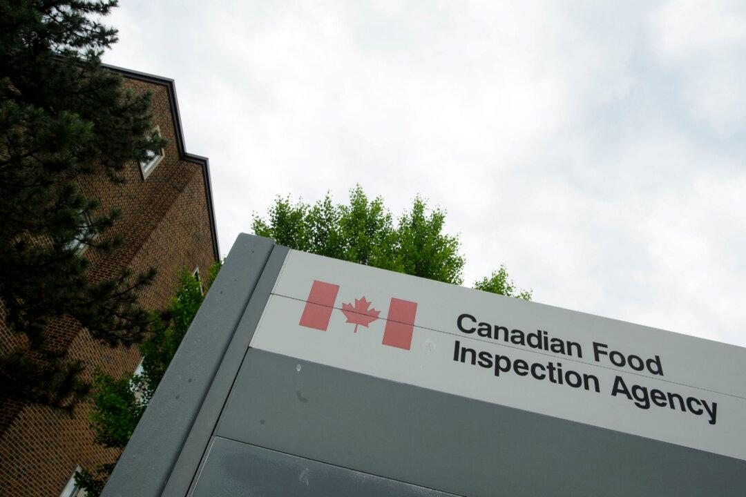 Insects Found in Canadian Soup Mix Sparks Recall