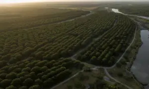 We Don’t Have a Water Problem. We Have a Land Problem.