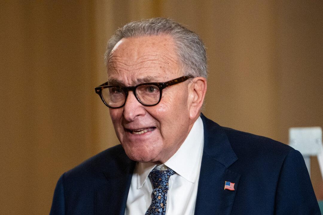 Schumer, Senate Democrats Hold Press Briefing on 3rd Day of Shutdown