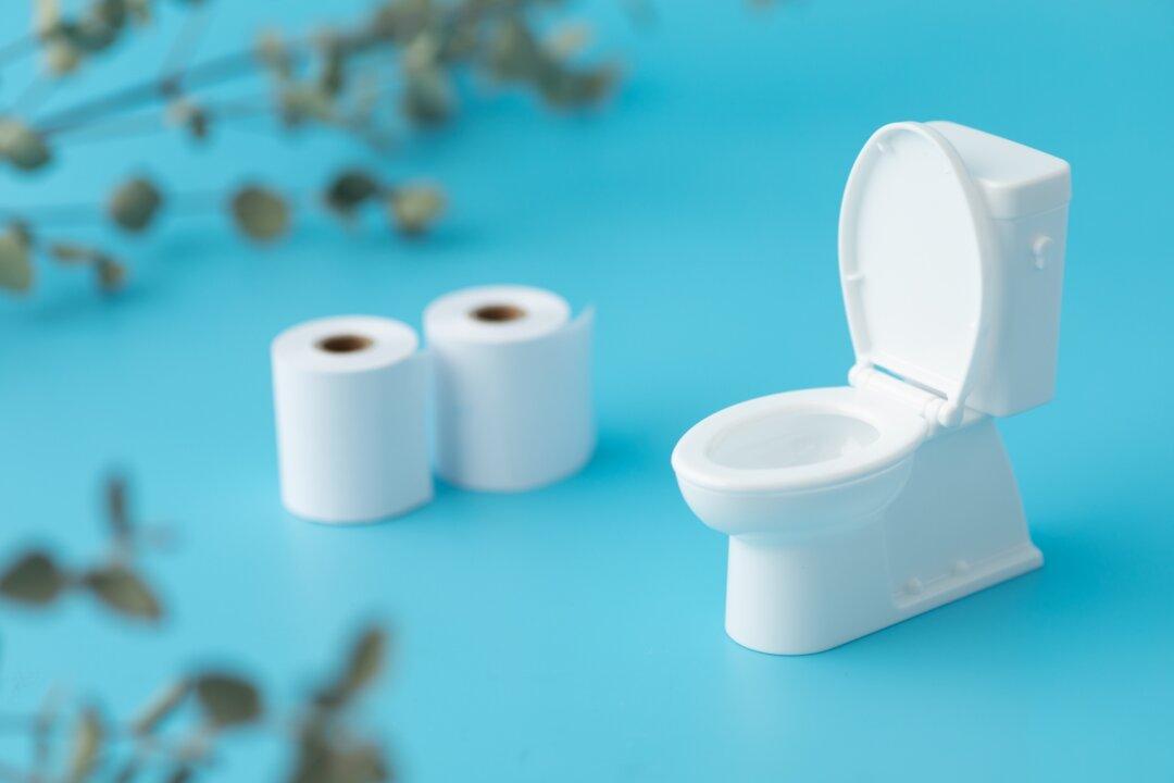 How to Unclog a Toilet—Quick and Easy!