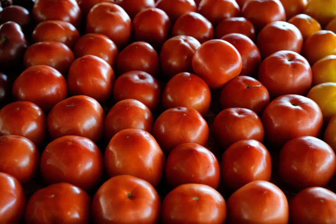 The Price of Tomatoes