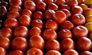 The Price of Tomatoes