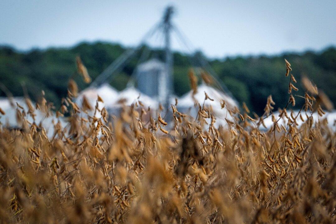 Trump Hints at Pressing China on Soybean Purchases