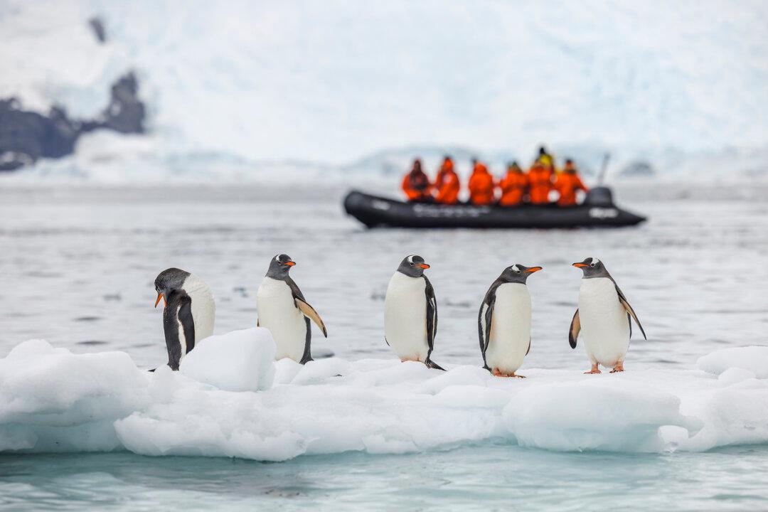 How to Find the Best Small Tours, Wherever You Travel