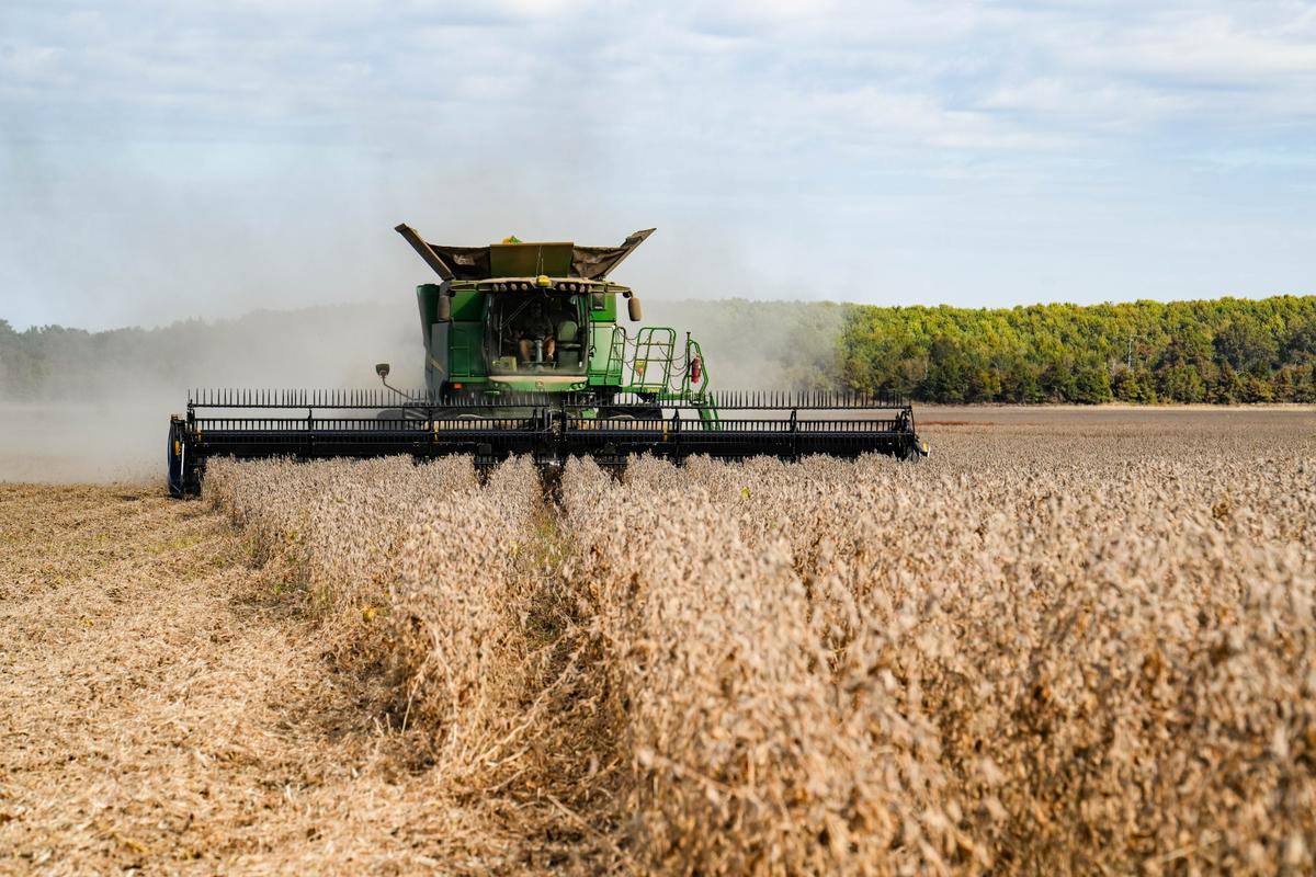 China Agrees to Buy 25 Million Metric Tons of US Soybeans per Year, Bessent Says thumbnail