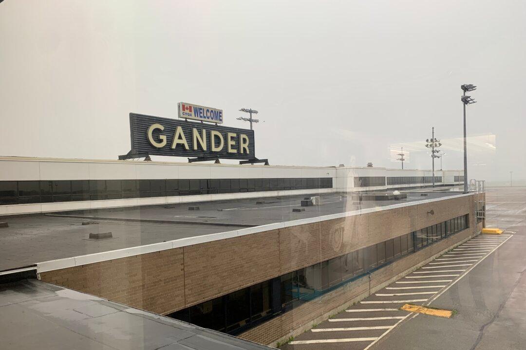 Airport Warns About Catfishing as People Arrive to Meet Loved Ones Who Don’t Exist