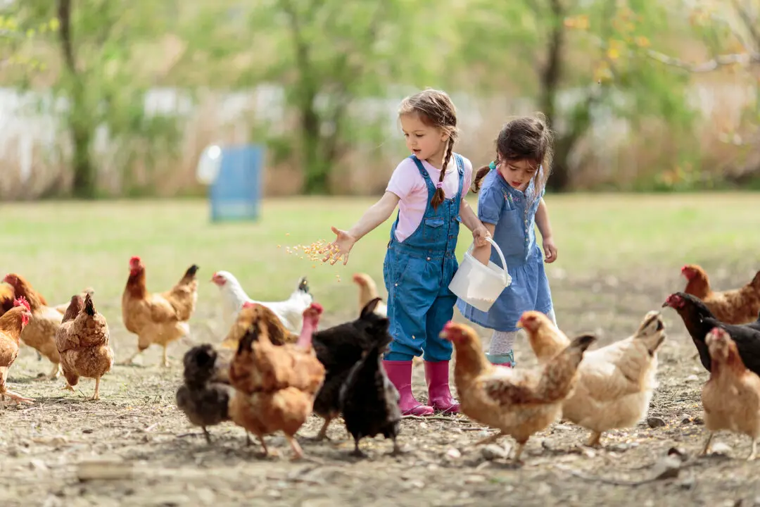 What Farming Taught Me