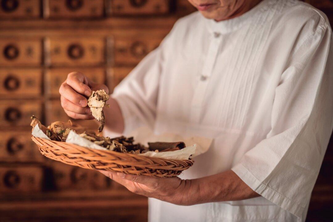 Jecheon: Korea’s Hidden Sanctuary of Traditional Medicine Healing and Balance